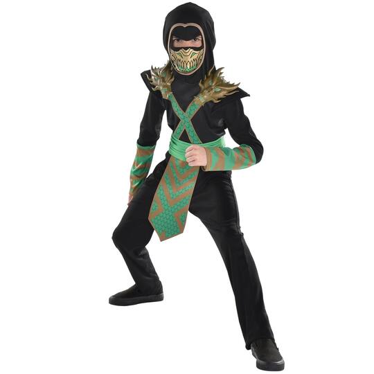 Dragon Ninja Youth Costume, X-Large (14-16)